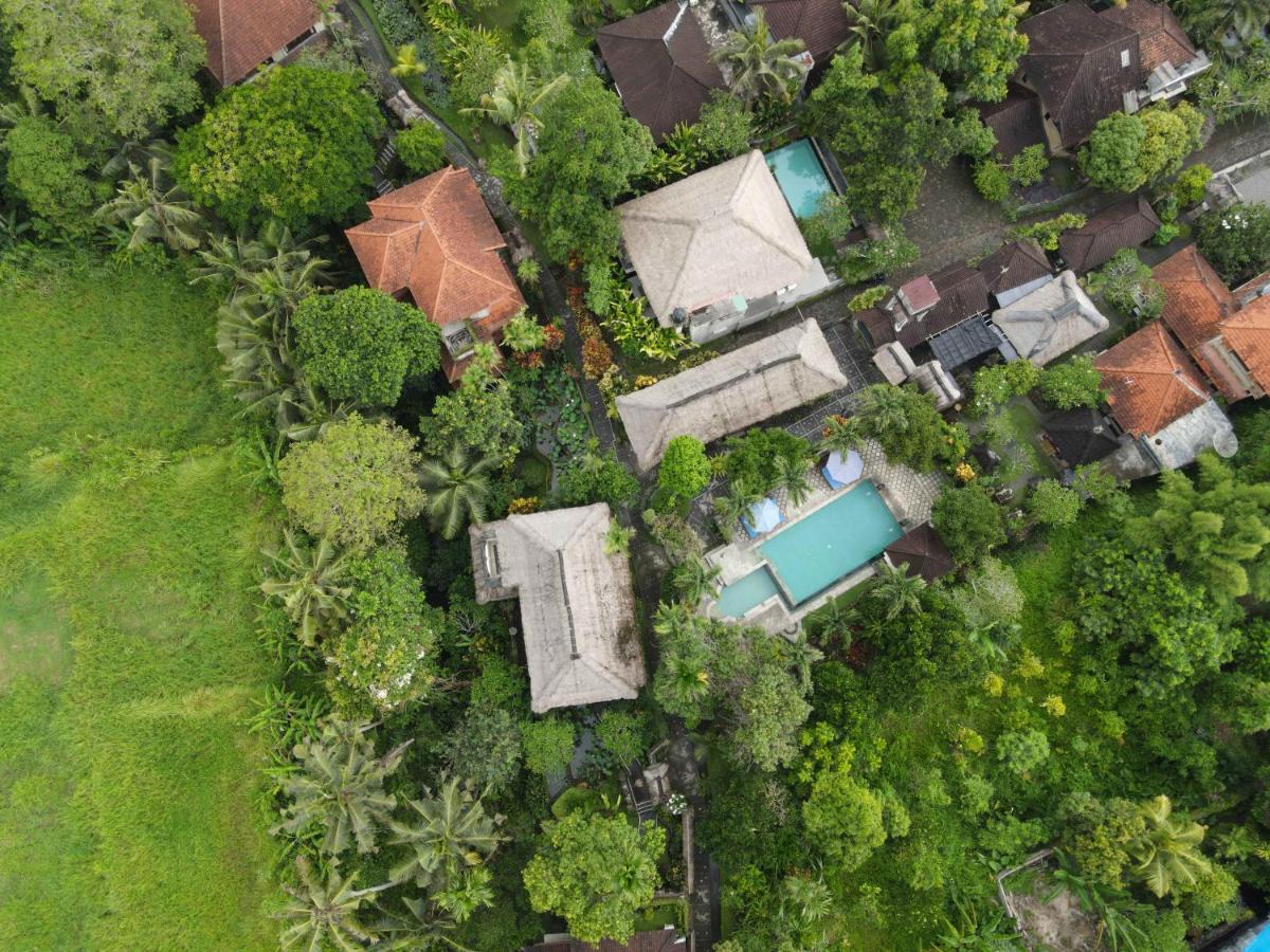 Alam Jiwa 4* Ubud (Bali)