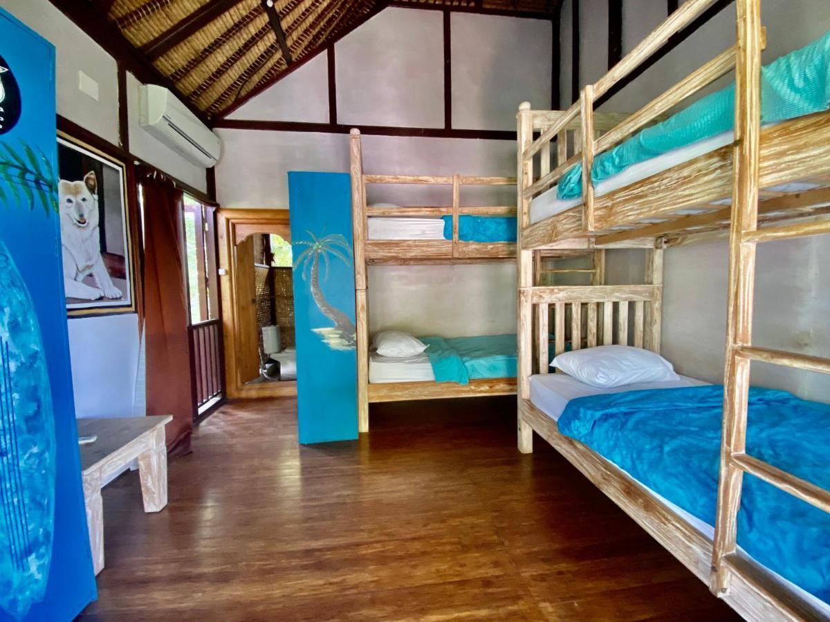Blind Dog Hostel