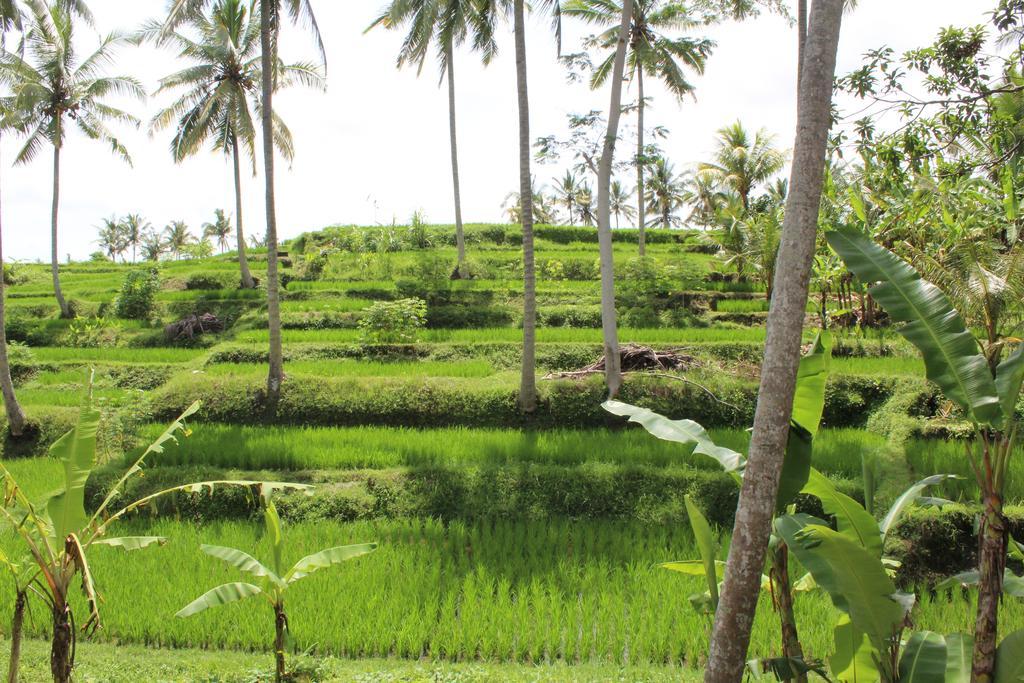 Junjungan 3* Ubud (Bali)