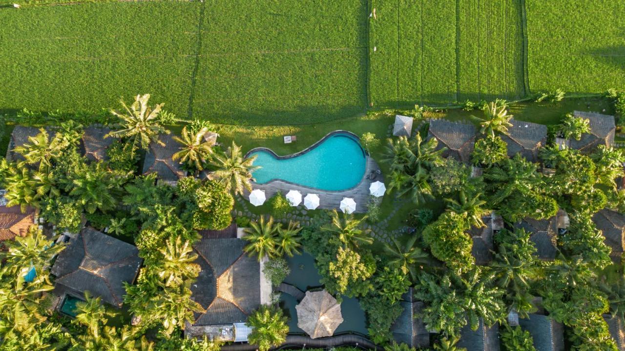 Arya * Ubud (Bali)