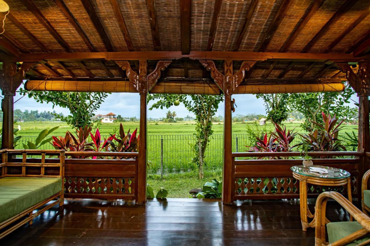 Villa Arya
