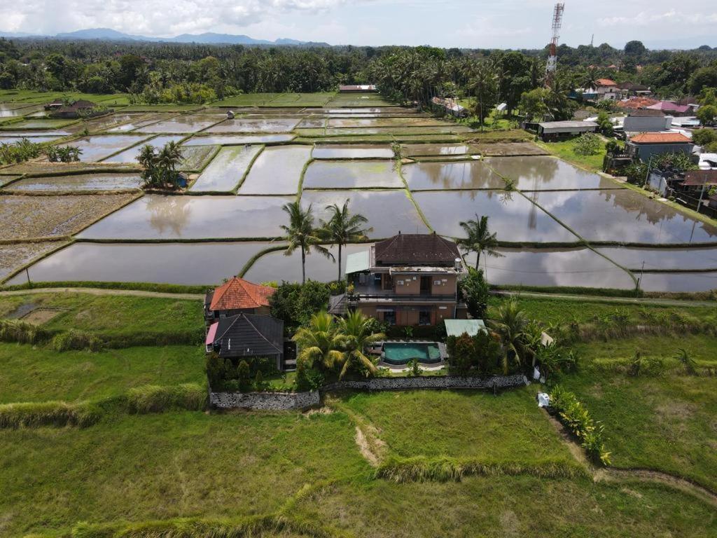 Mancur Guest house