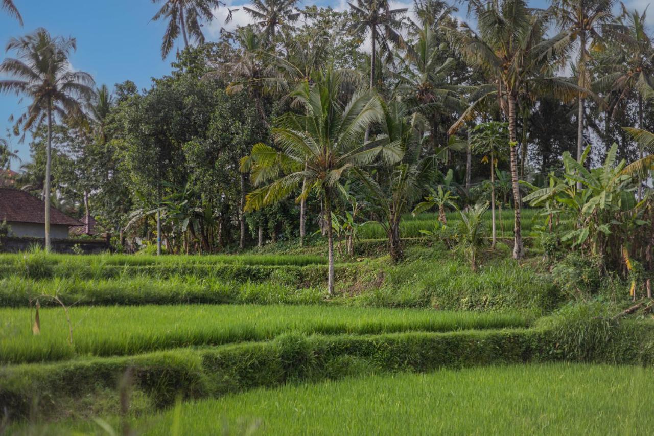 Suara Air Luxury Ubud (Bali)