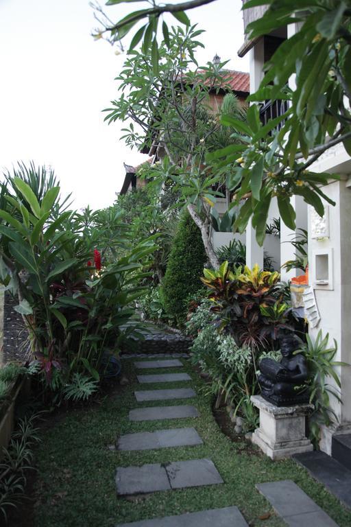 Kubu Soca