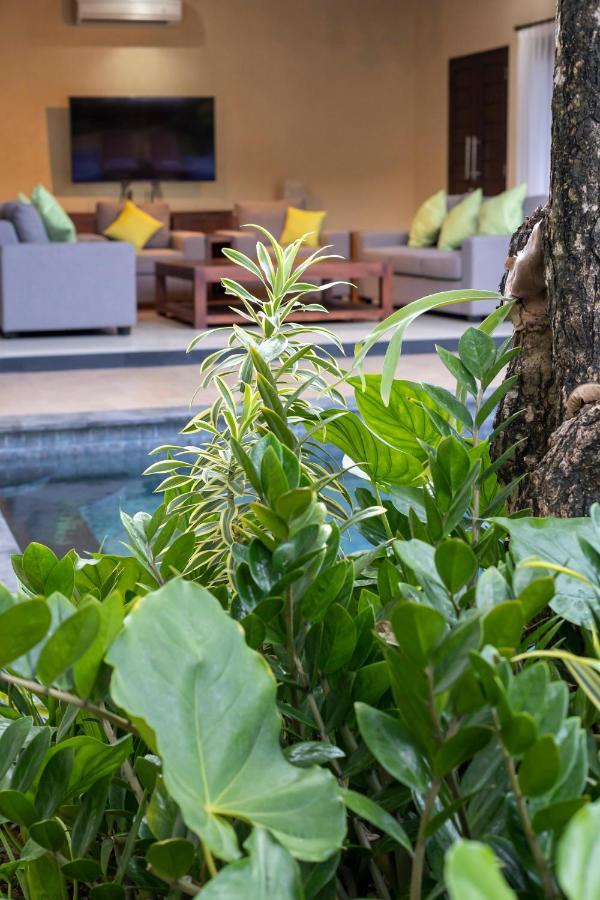 Katara Villa