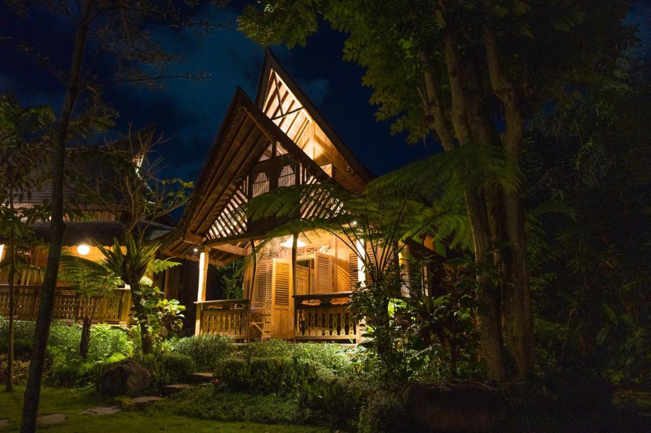 Tree House