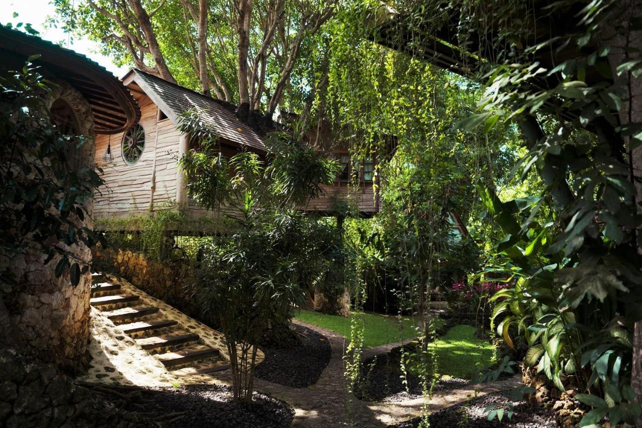 Roots Tree House Lodge