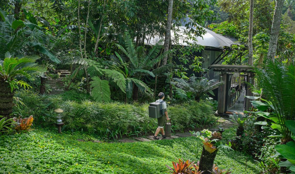 Capella Ubud, Bali Ubud (Bali)