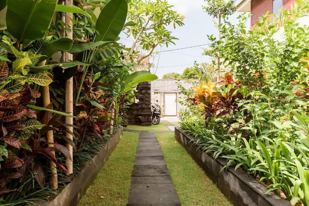 Frangipani Mawe At Berawa Canggu (Bali)