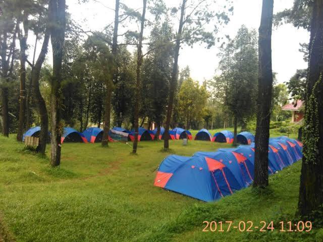 Wong Deso Marangyang tolda