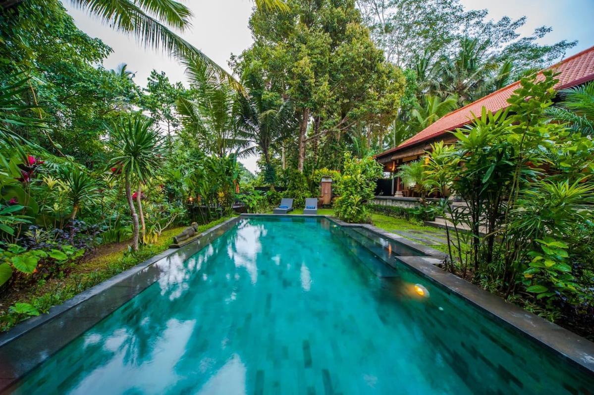 Luxury 3br Infinity Jungle View Aashaya Ubud (Bali)