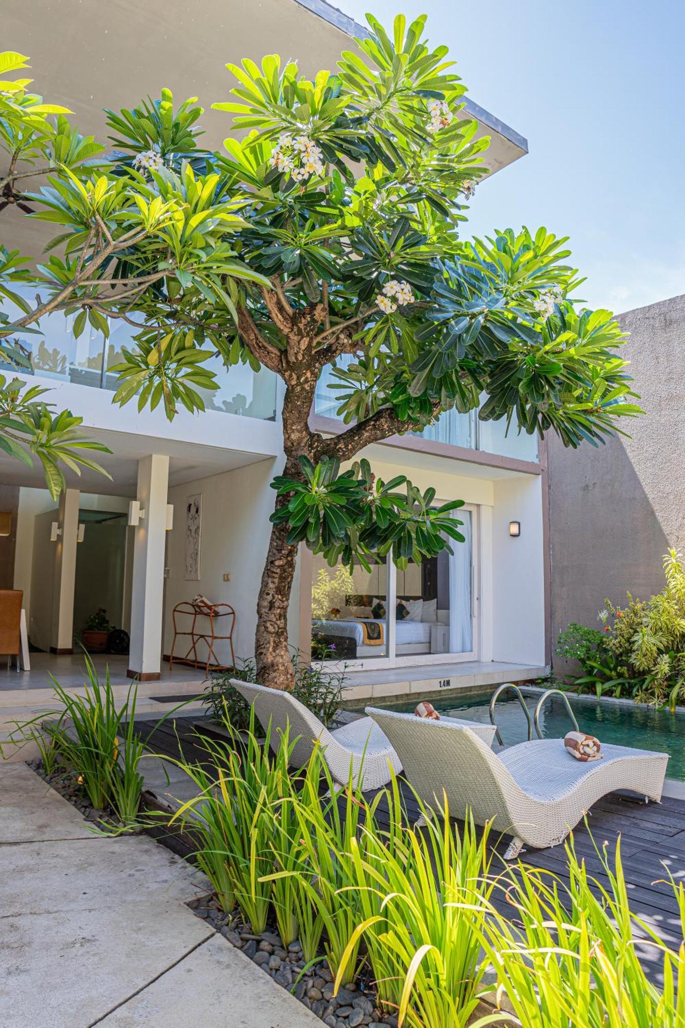 Asa Bali Luxury &