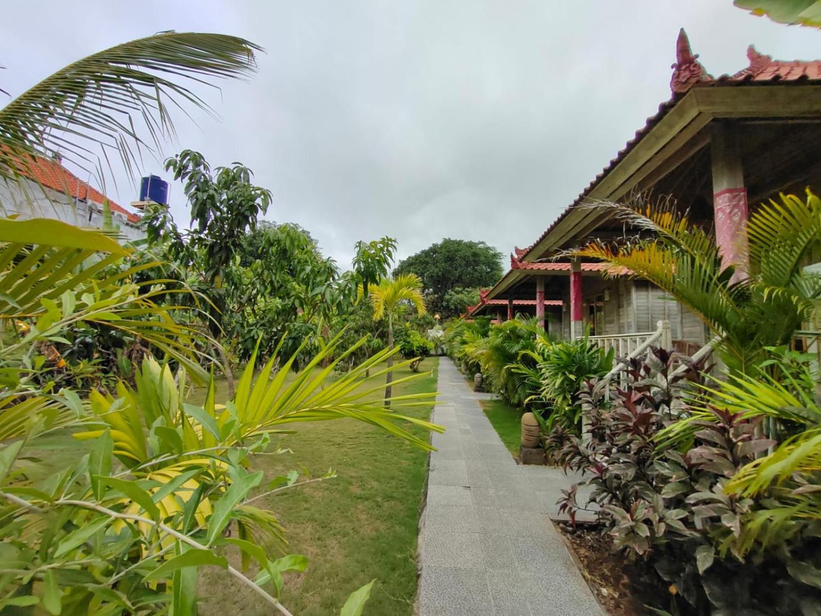 The Canda Mushroom Lembongan Guest house Nusa Lembongan (Bali)