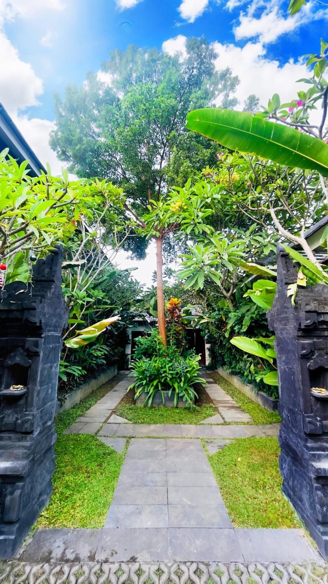 Frangipani Kuning At Berawa Canggu (Bali)
