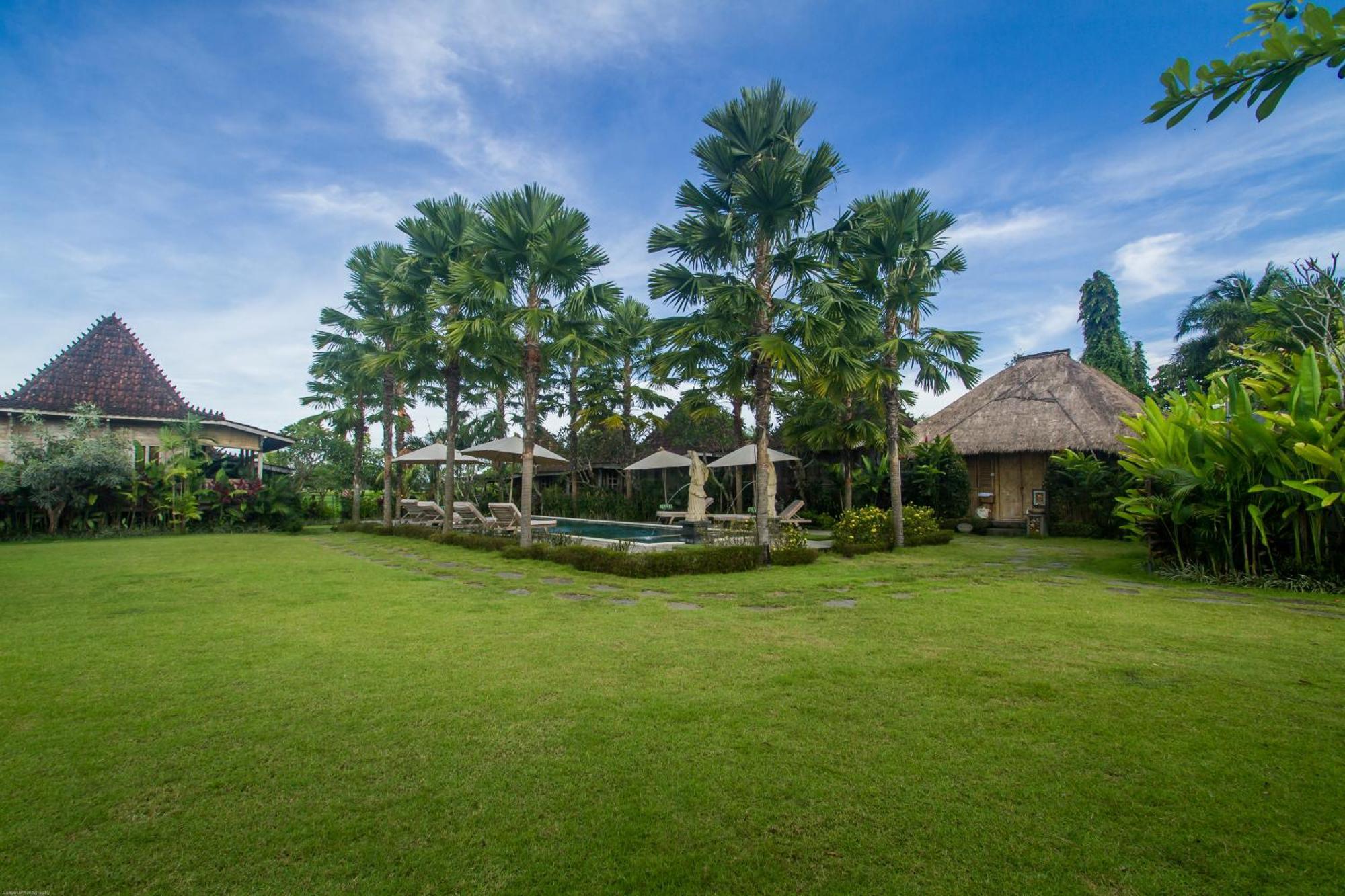 Resort Aswanaya 4*