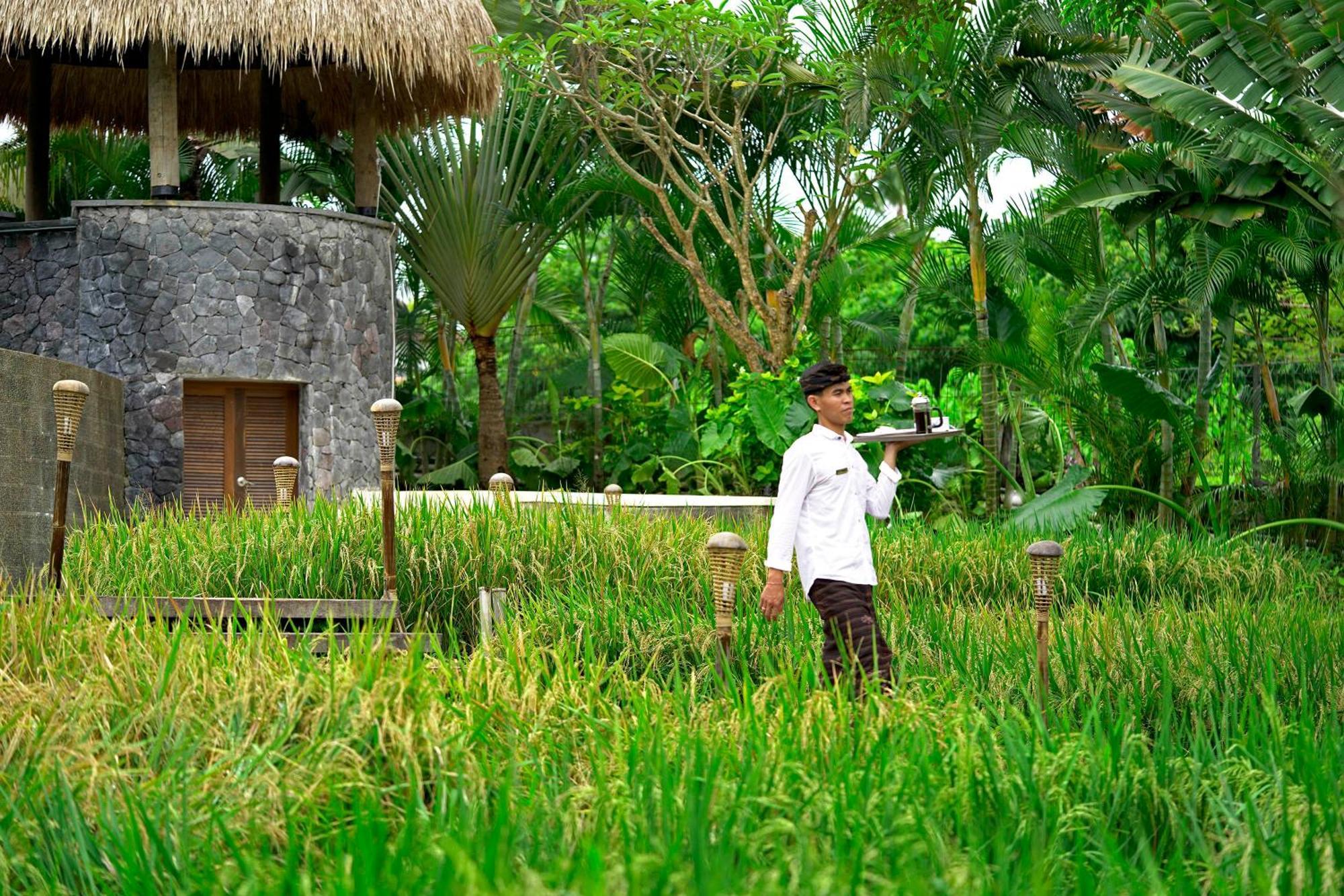 Lalasa * Canggu (Bali)