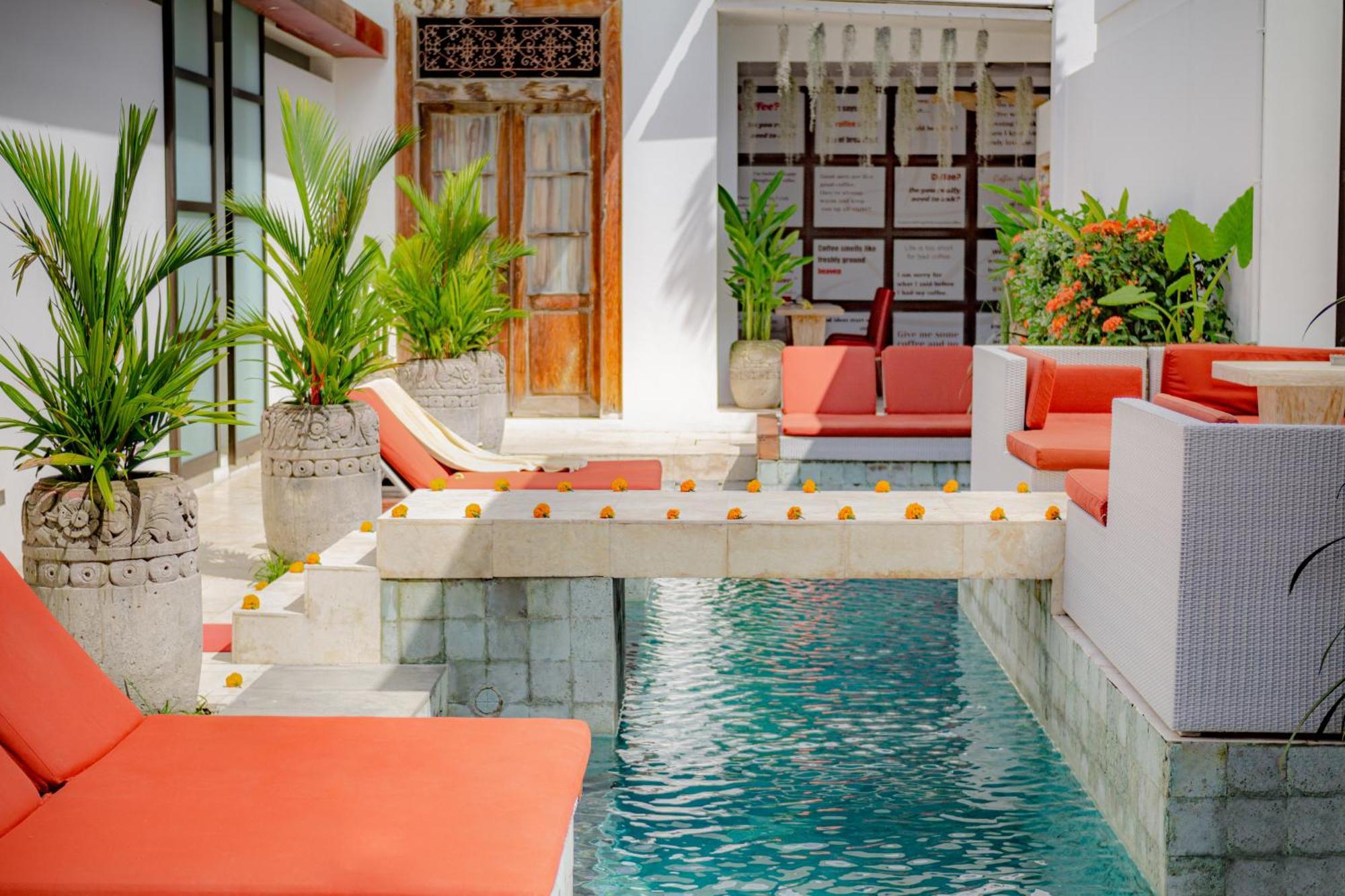 Bali Ginger &