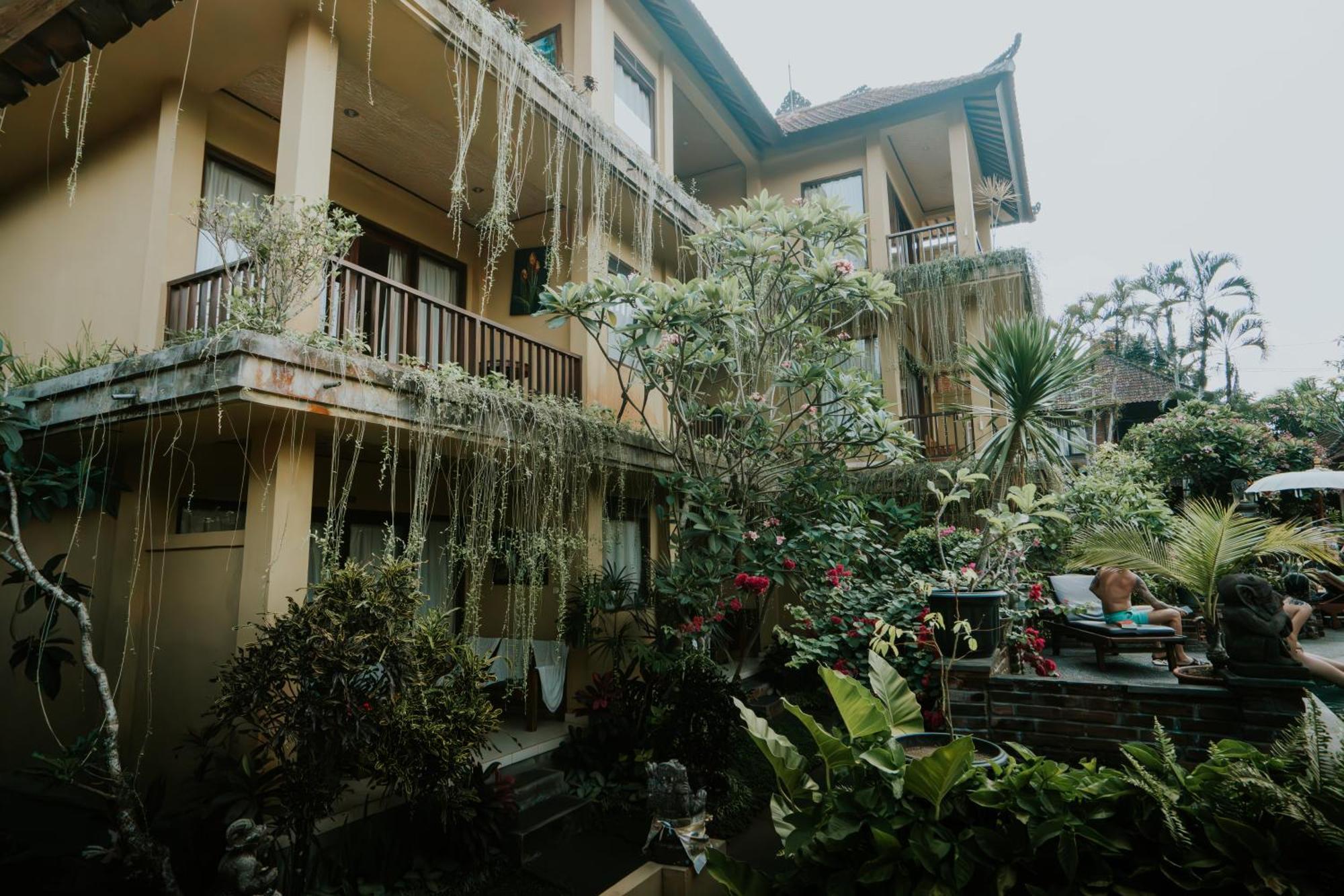 Guest house Jati 3 And Ubud (Bali)