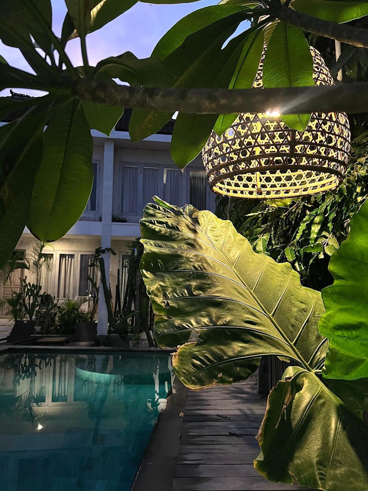 Guest house Bingin 3*