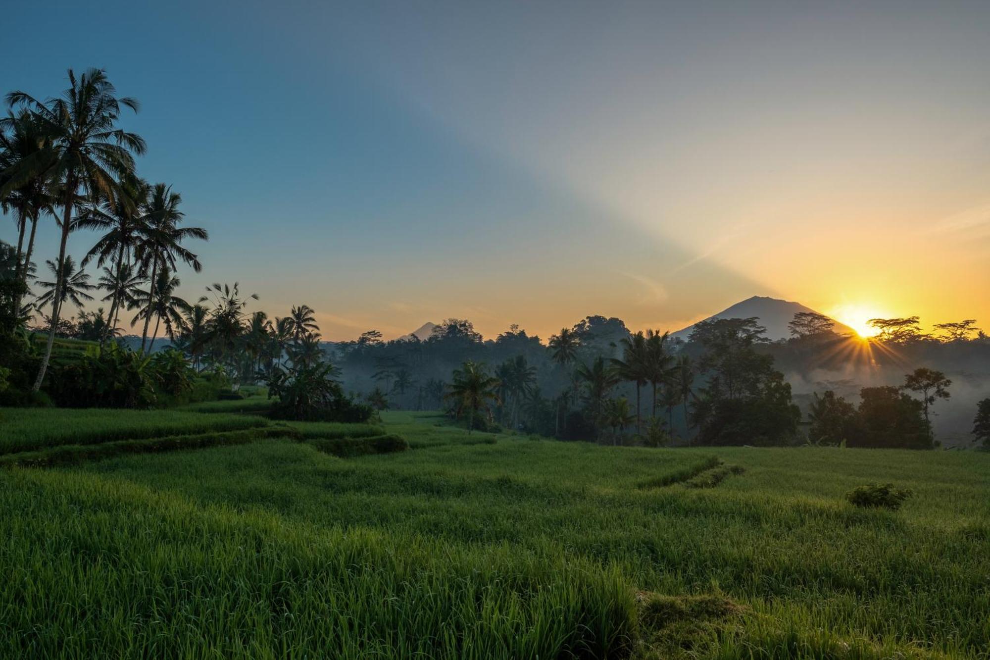 Kawi A Pramana Experience Resor