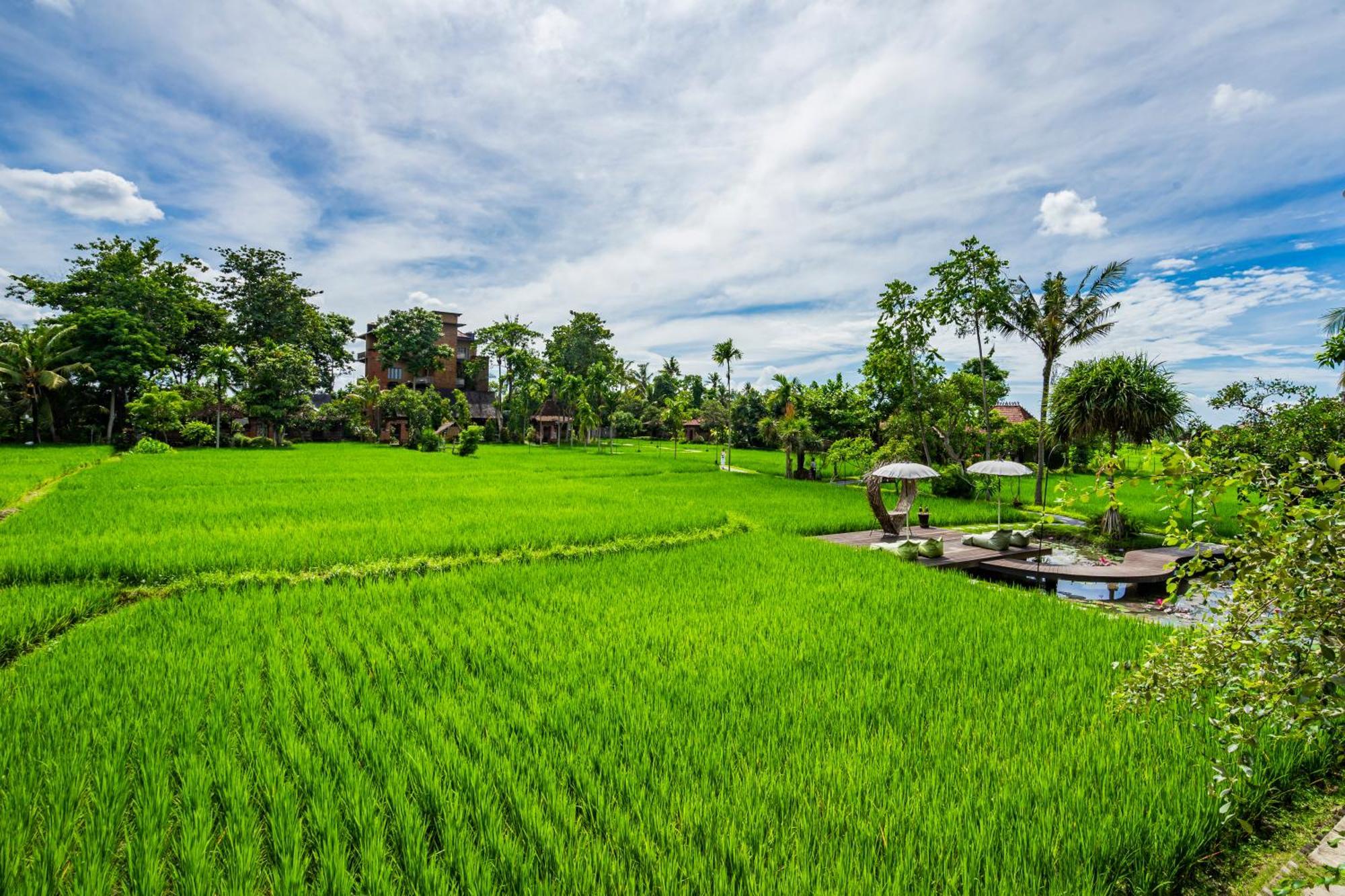 Holiday park Kajane Yangloni At Bali Ubud (Bali)