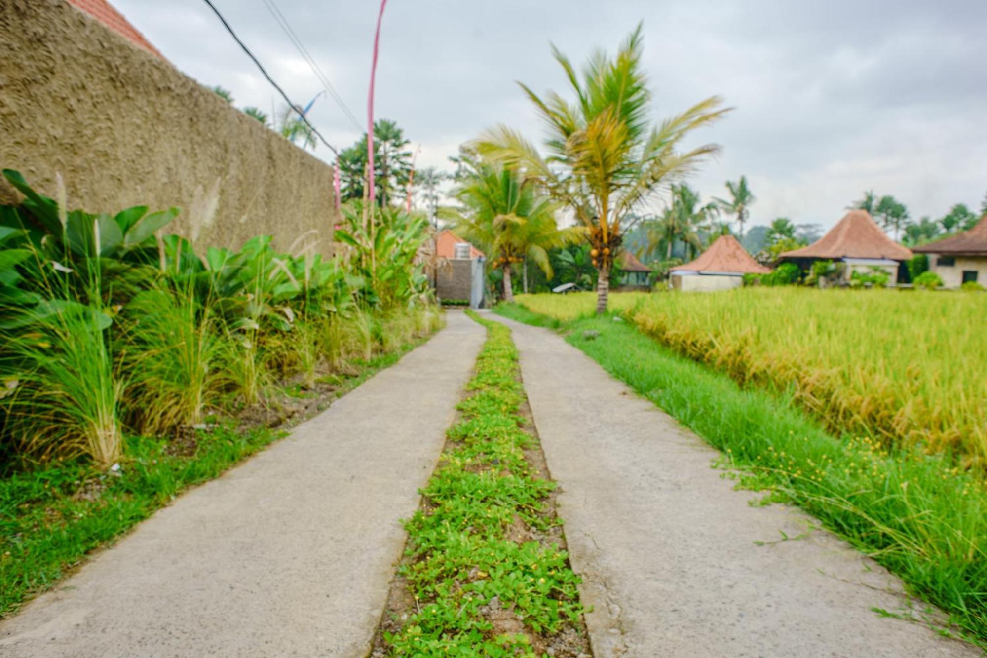 Umakelod Sebatu * Ubud (Bali)