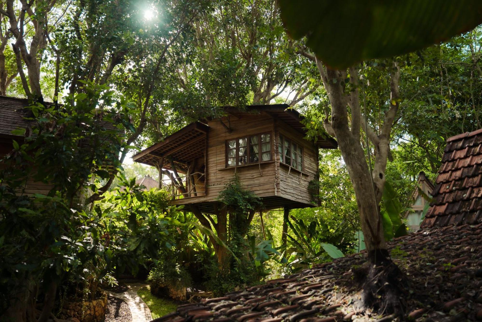Roots Tree House Lodge
