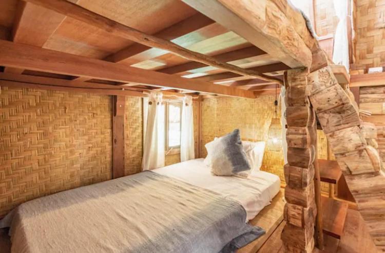 Roots Tree House *
