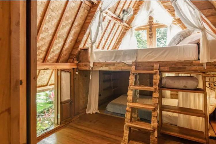 Roots Tree House Lodge