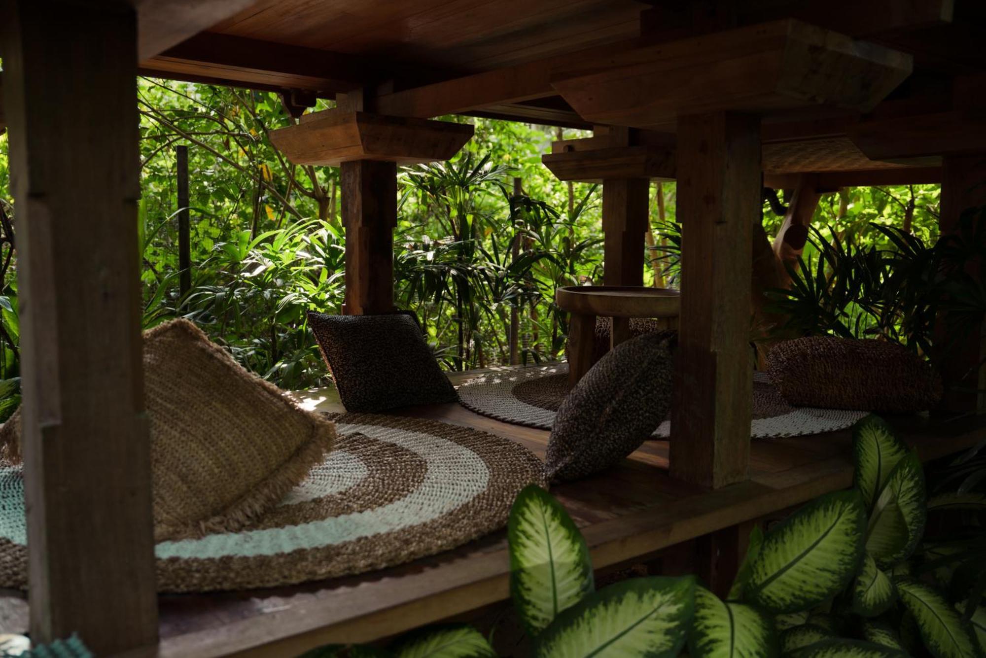 Roots Tree House *