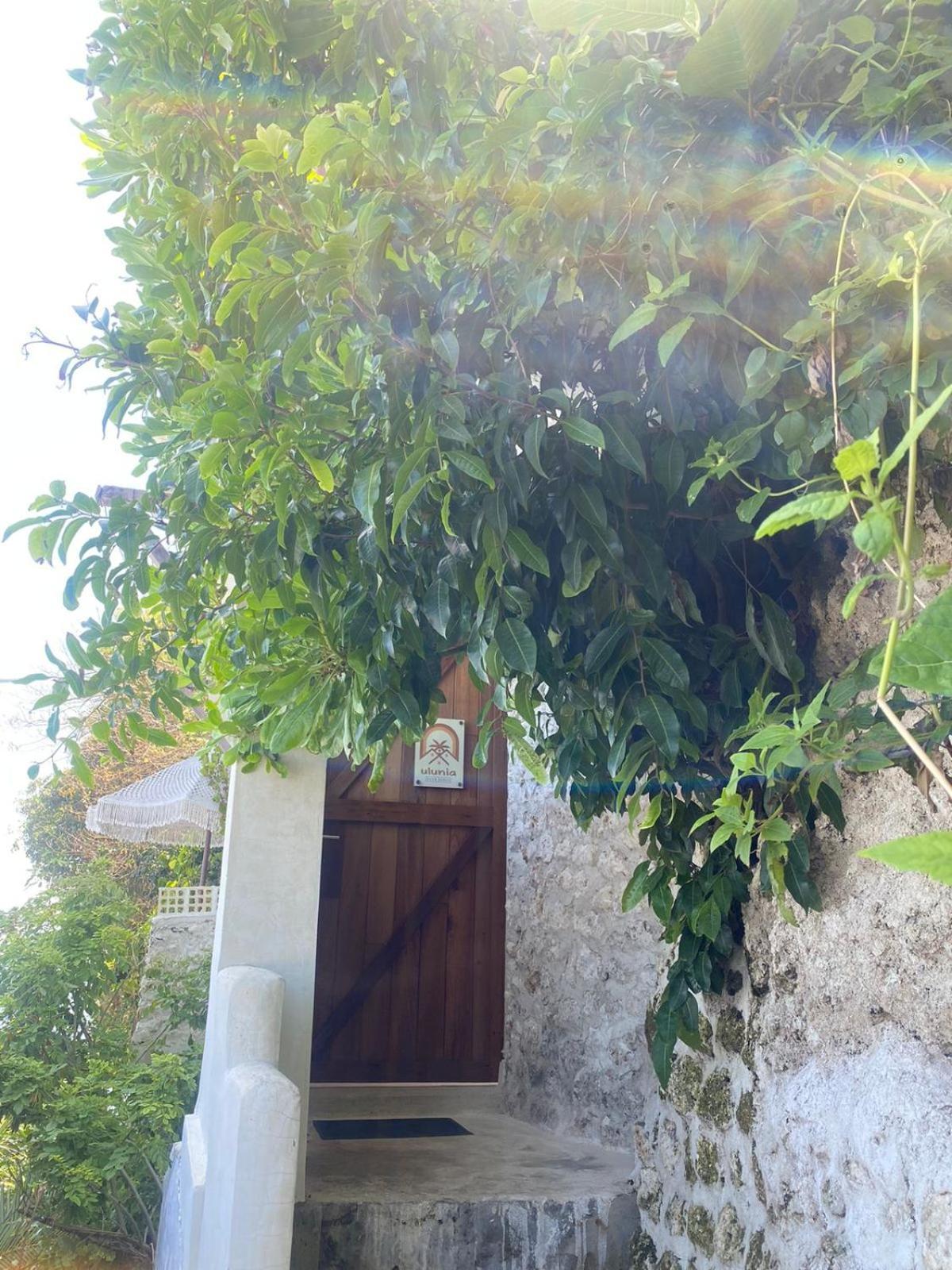 Apartment Ulunia