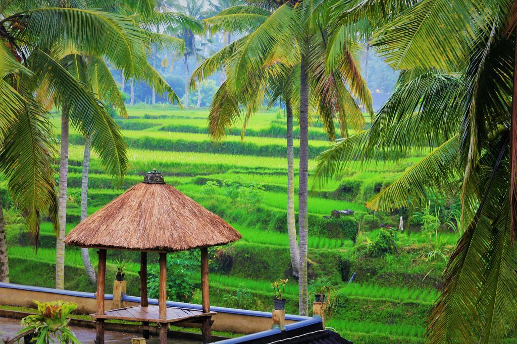 Holiday park Junjungan 3*