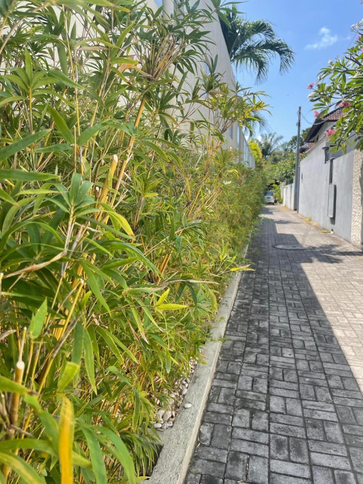 Villa Frangipani Villa Seminyak
