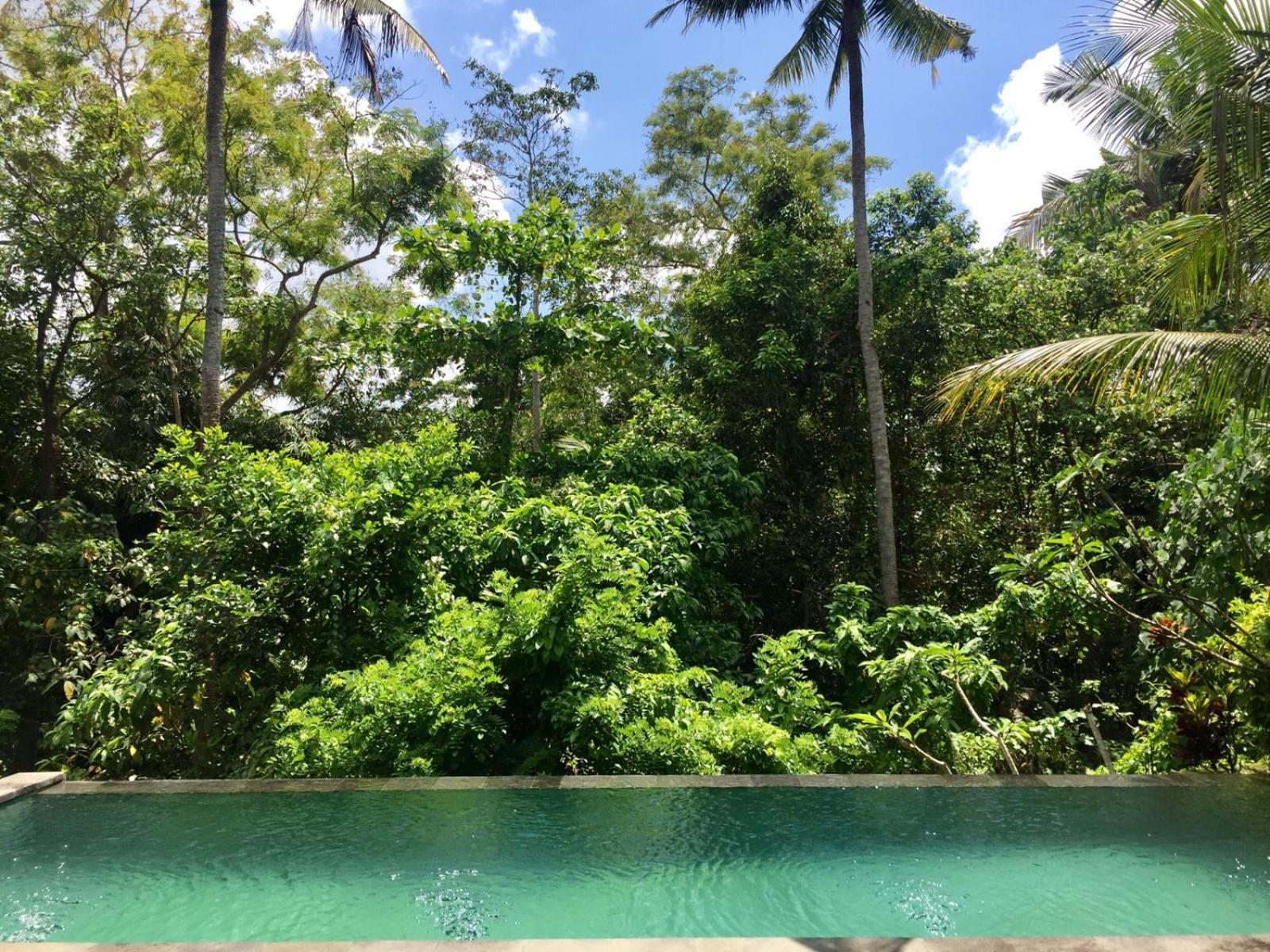 Mahesa * Ubud (Bali)