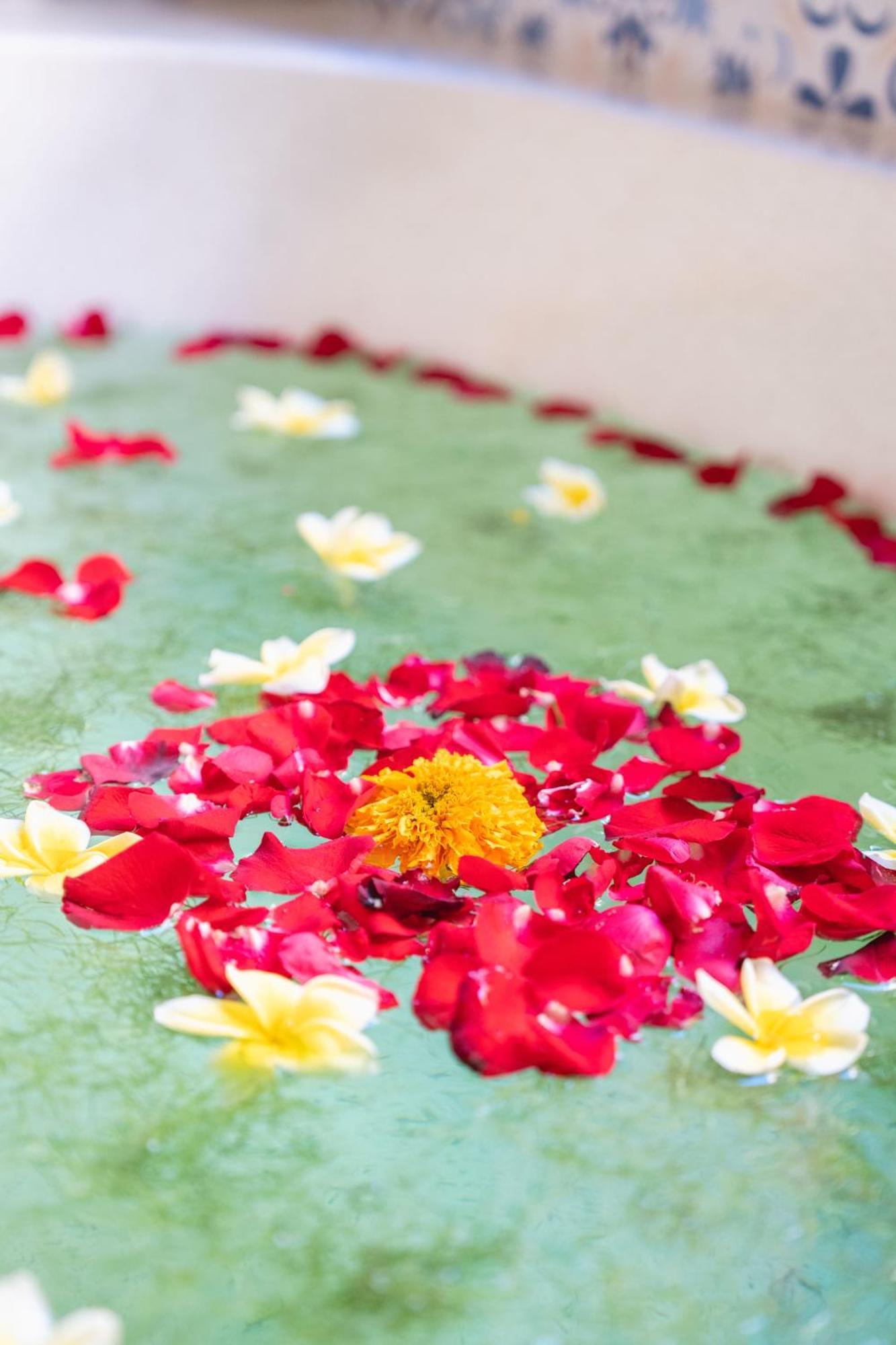 Resort The Compass Rose Ubud (Bali)