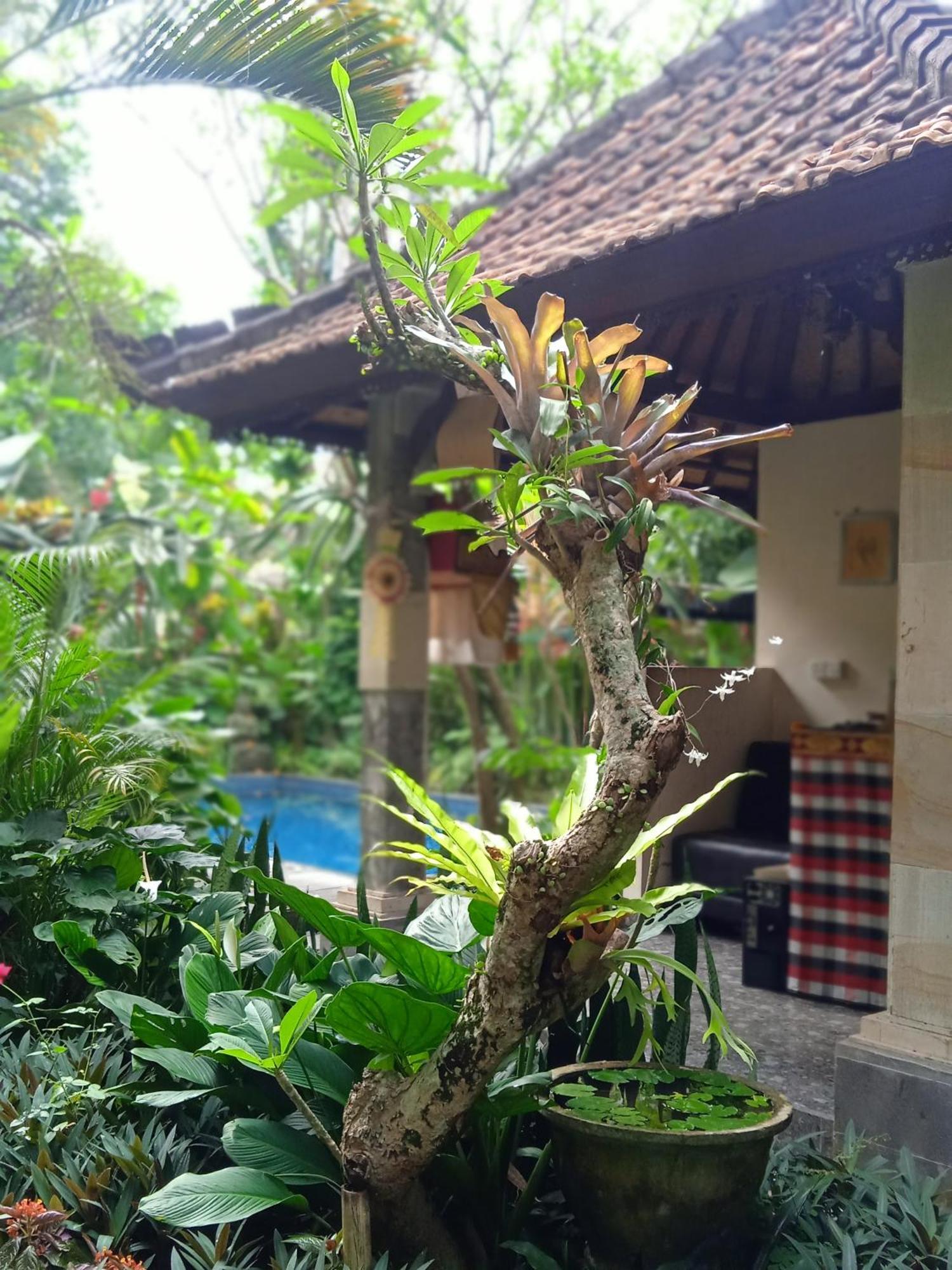 Tanah Semujan