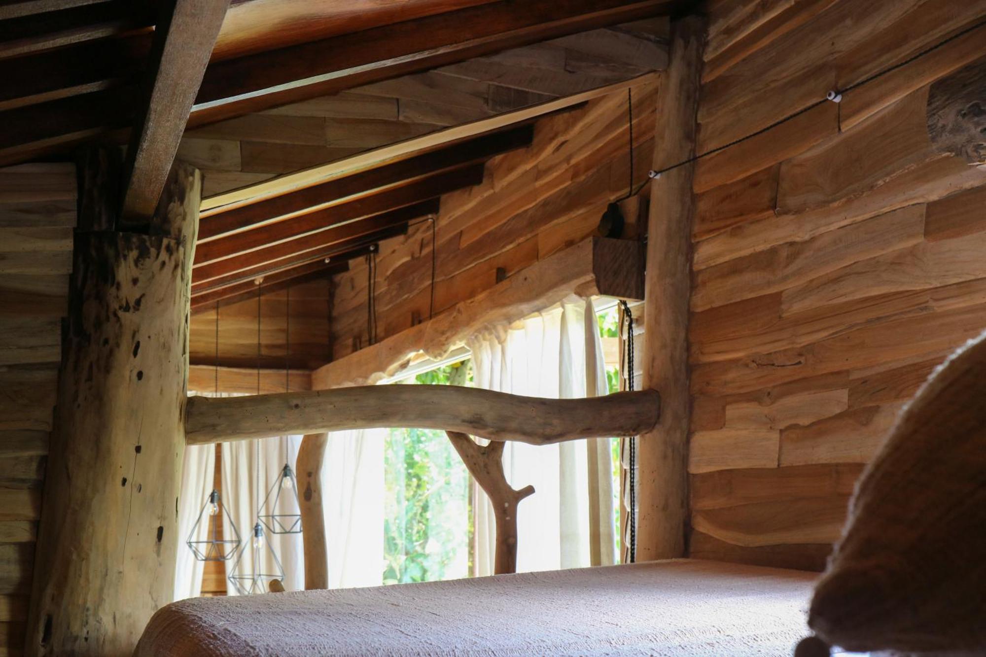 Roots Tree House
