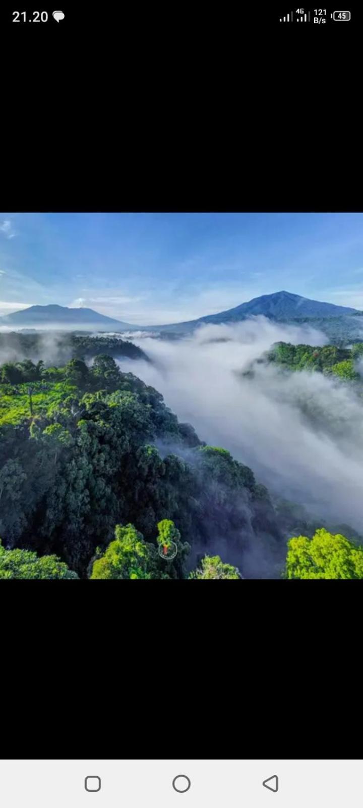 Marangyang tolda Wong Deso