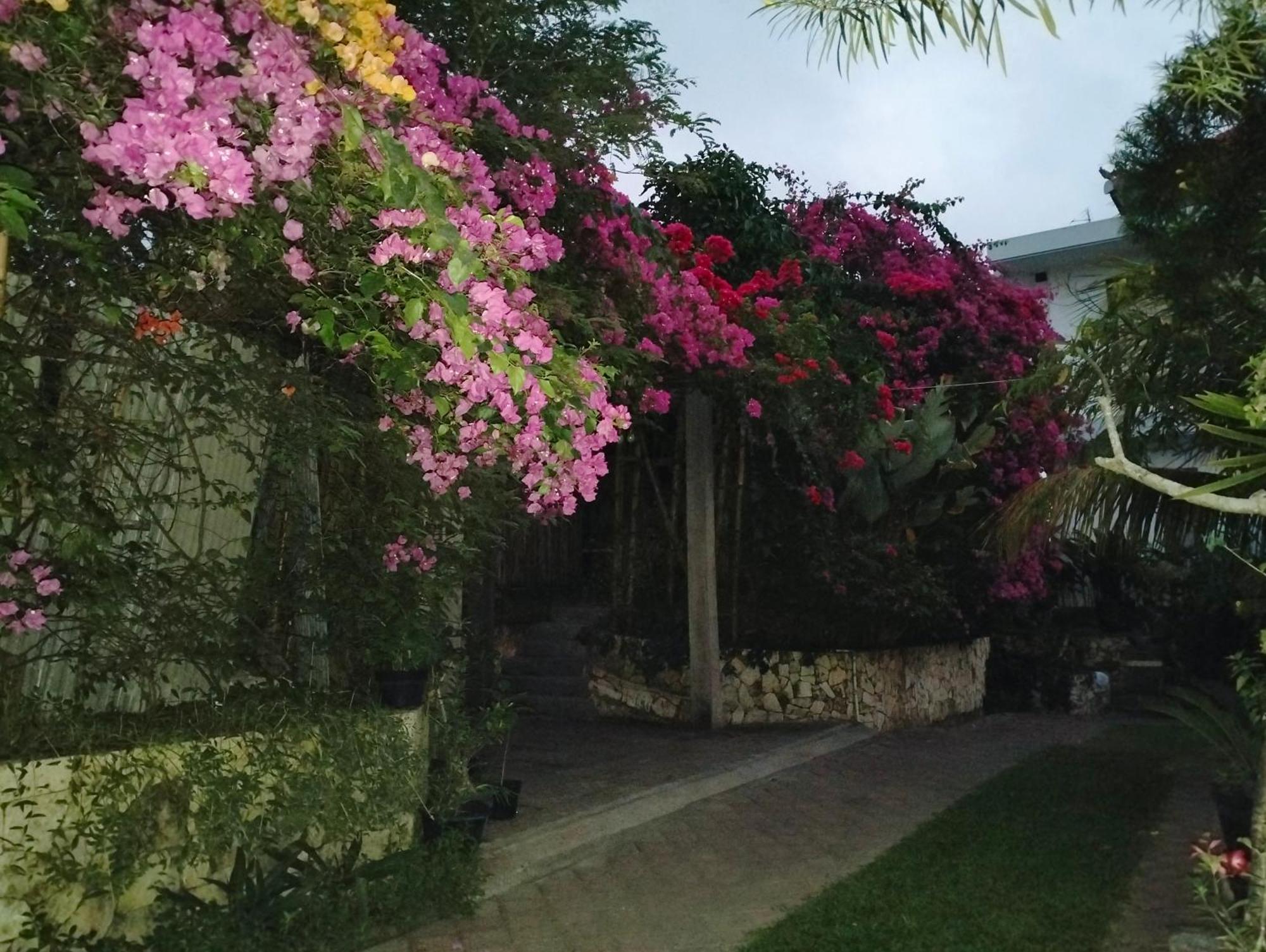 Villa Mandox Bali