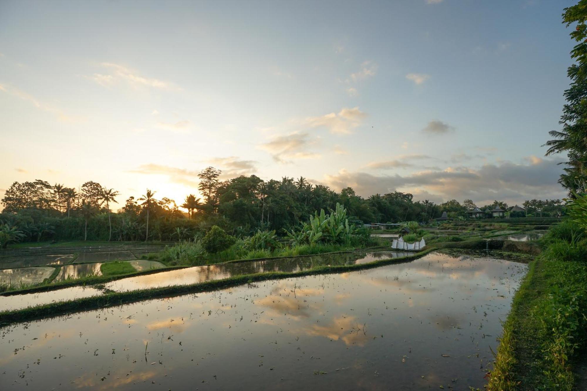 Art Holiday park