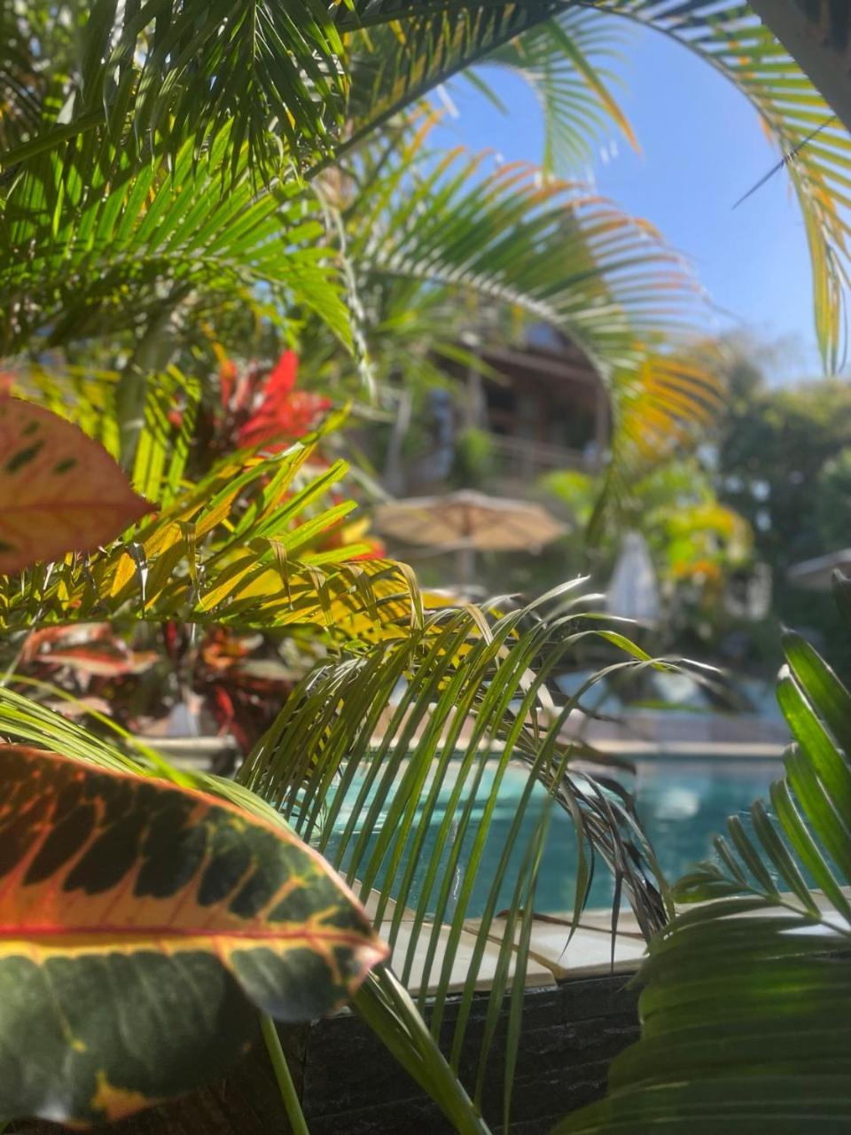 Incense Impossible Beach-adults Only Guest house 3*