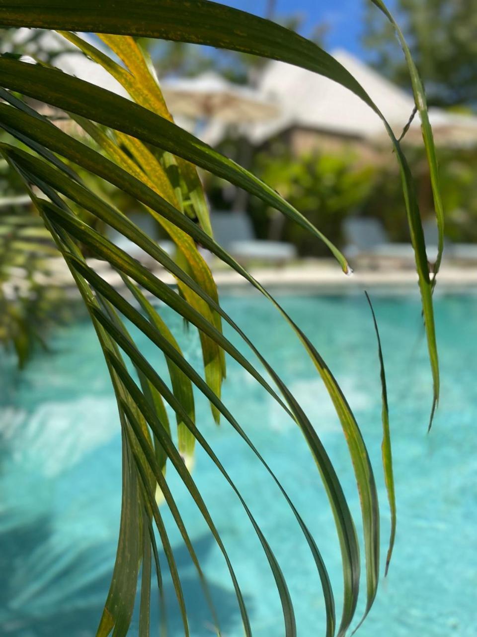Guest house Incense Impossible Beach-adults Only Uluwatu (Bali)