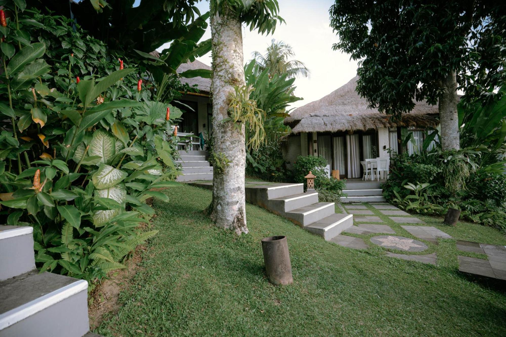 Holiday park Dedari 4*