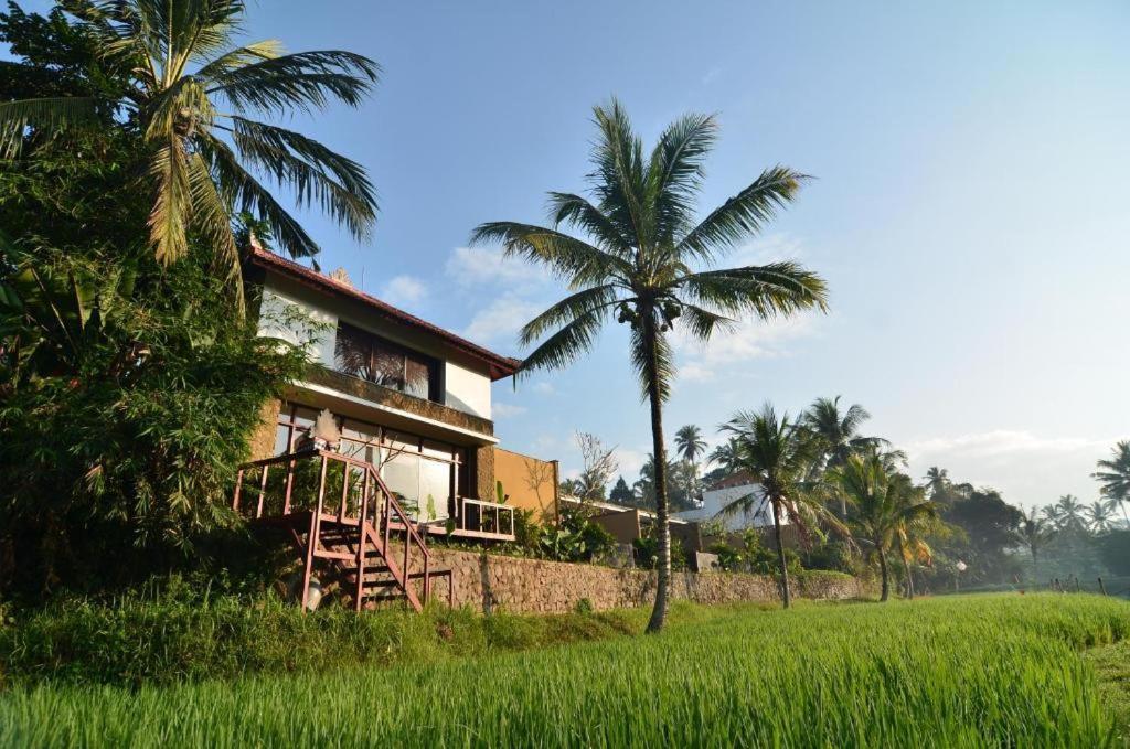 Resort Powered By Archipelago Ubud (Bali)