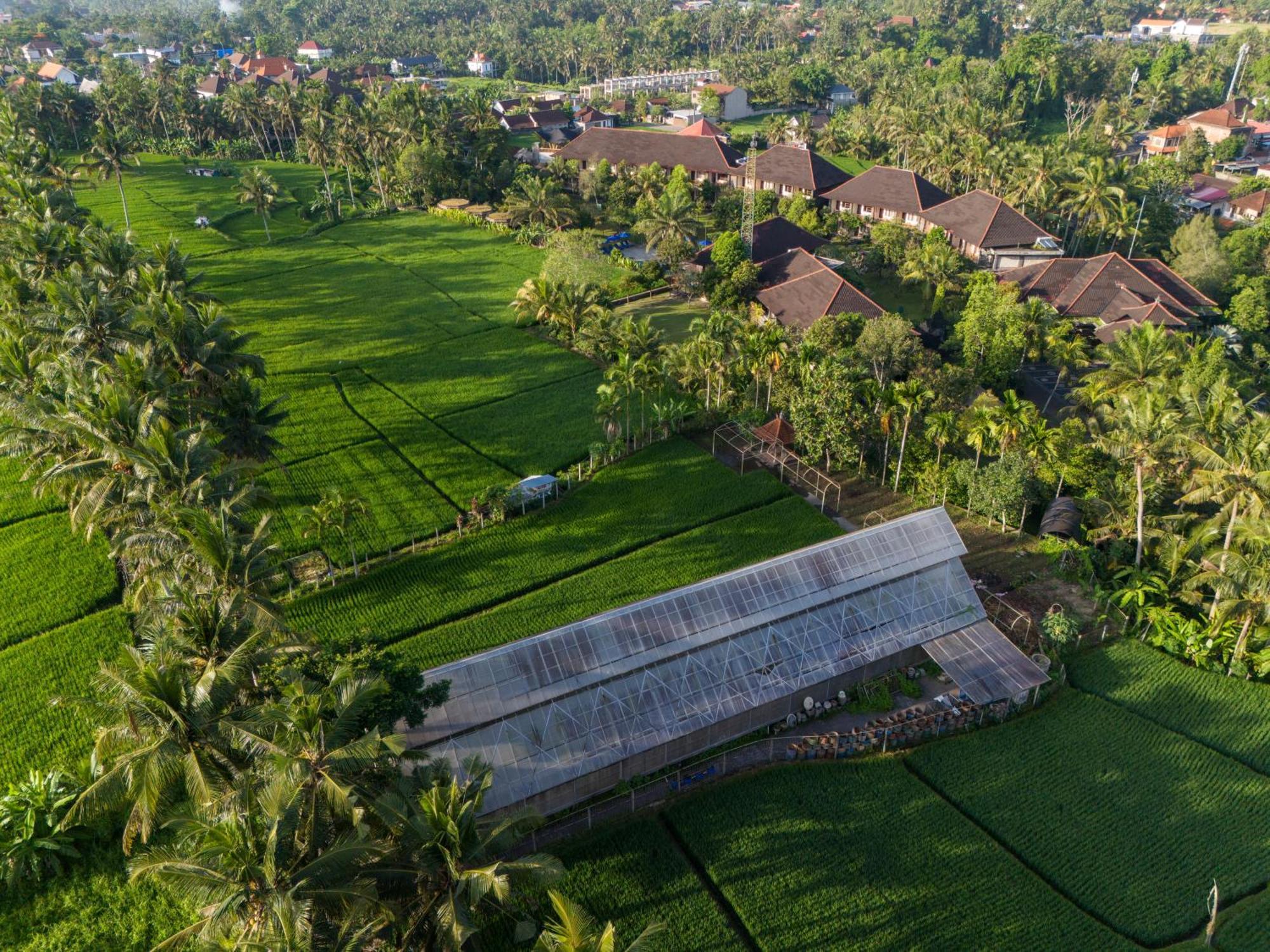 Hotel Bhuwana And Farming 4*