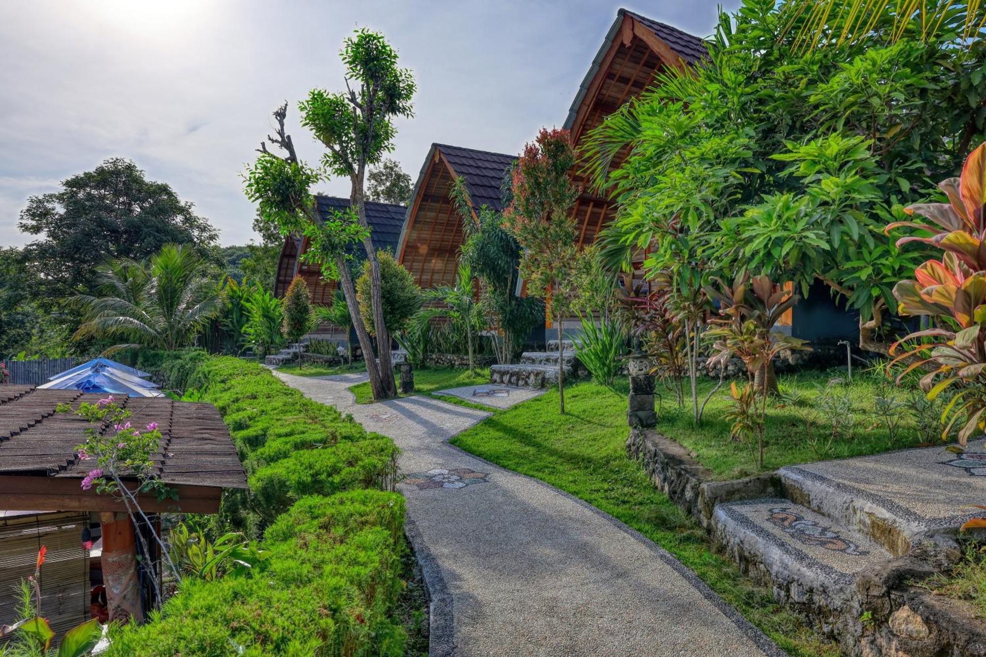 Guest house Bagia 2*