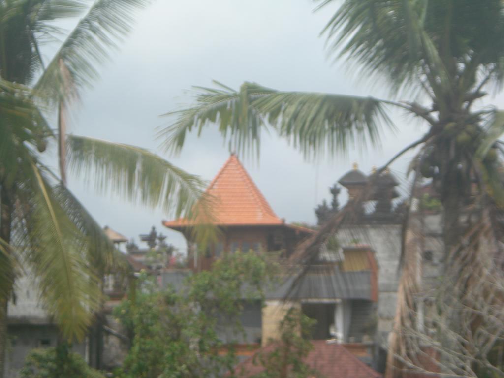Guest house Ogek *