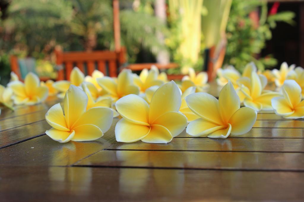 Dewani Umalas (Bali)