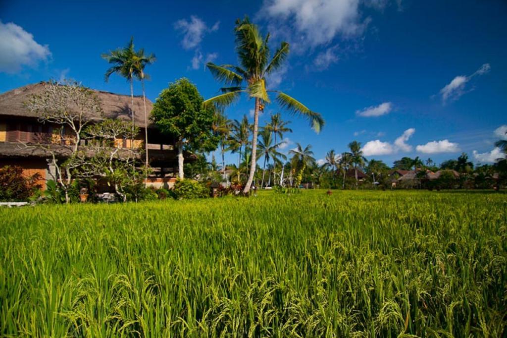 Villa Agung Raka