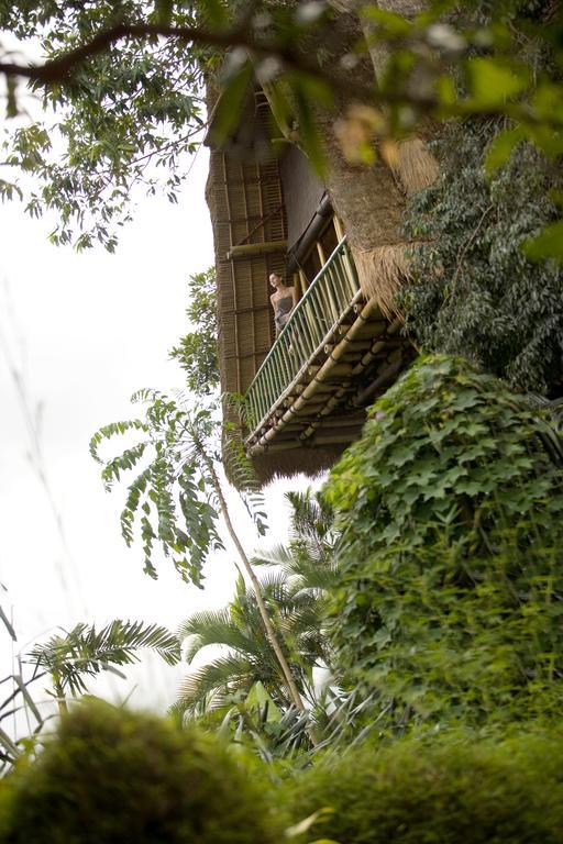 Jungle Retreat By Kupu Kupu Barong